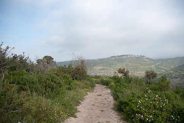 Image showing Spring season landscape