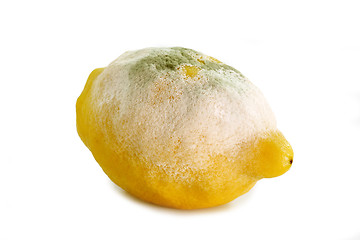 Image showing Lemon gone bad