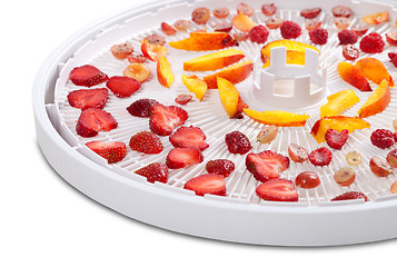 Image showing Slices of berries and fruits on dehydrator tray