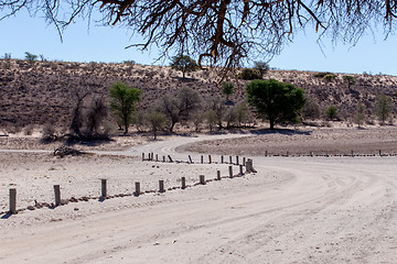 Image showing road in Kgalagadi transfontier park