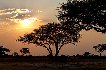 Image showing African sunset