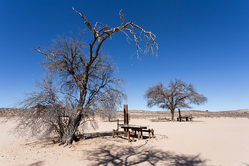 Image showing stopover rest place in Kgalagadi transfontier park