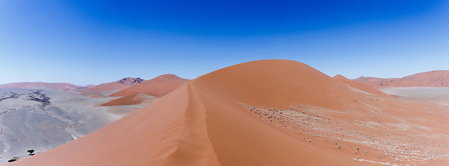 Image showing Dune 45 in sossusvlei Namibia, view from the top of a Dune 45 in