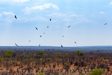 Image showing view of african landscape