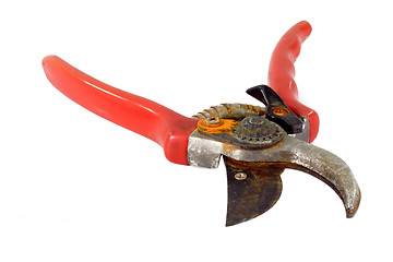 Image showing Used pruning shears