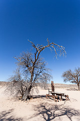 Image showing stopover rest place in Kgalagadi transfontier park