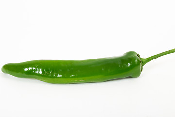 Image showing Bitter pepper