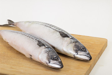 Image showing fresh fish  