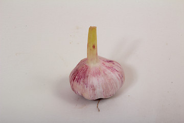 Image showing Fresh Garlic  