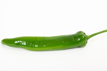 Image showing Bitter pepper