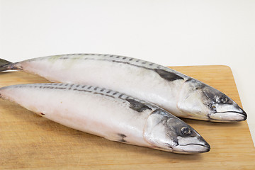 Image showing fresh fish  