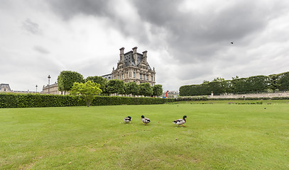 Image showing Jardin du Luxembourg with Palace. Few ducks are in front 