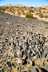 Image showing  bush old fossil in  the   of   and rock  stone sky
