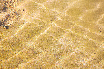 Image showing dune morocco in africa  wet sand beach   atlantic 