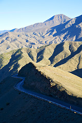 Image showing in ground africa   bush  dry atlas mountain