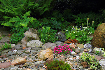 Image showing spring flowers and plant garden 