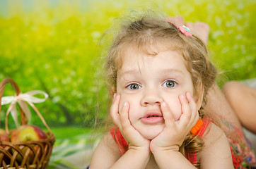 Image showing Funny three year old girl on a picnic