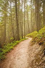 Image showing Rocky Mountains Hiking Trail