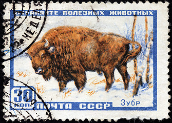 Image showing European Bison Stamp