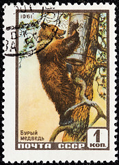 Image showing Brown Bear Stamp