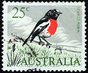 Image showing Robin Stamp