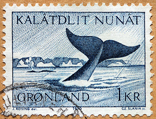 Image showing Whale Stamp