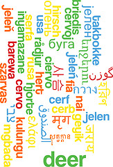 Image showing Deer multilanguage wordcloud background concept