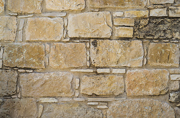 Image showing Aged coquina Stone wall texture or background