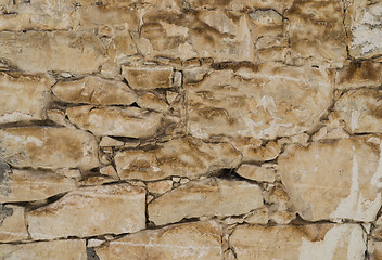 Image showing Aged shell rock Stone wall texture or background