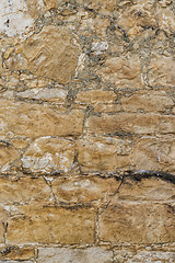Image showing rustic shell rock Stone wall texture or background