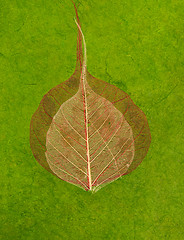 Image showing Green handmade asian paper with leaves