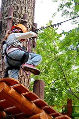 Image showing adventure rope park