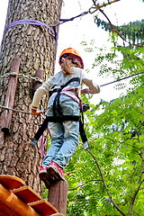 Image showing adventure rope park