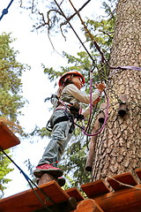 Image showing adventure rope park