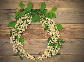 Image showing wreath of bird-cherry blossom branche