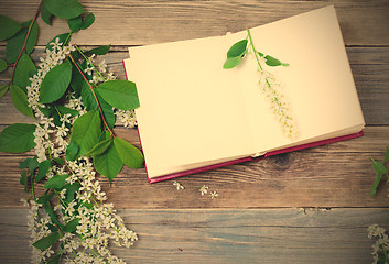 Image showing Blossoming bird-cherry and vintage open book