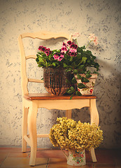 Image showing still life with home flowers