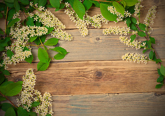 Image showing branch of blossom bird cherry on vintage boards of antique table