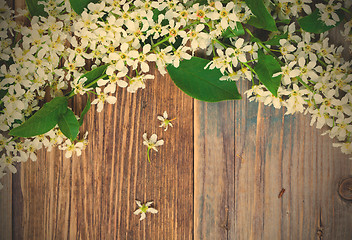 Image showing branch of blossom bird cherry on aged boards antique table