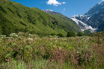 Image showing Georgia mountain