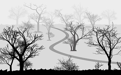 Image showing forest in the dark and road, trees silhouettes
