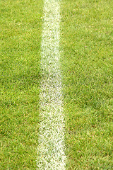 Image showing White stripe on the green soccer field from top view