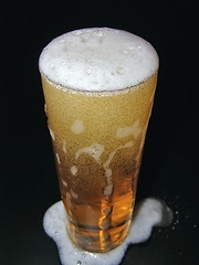 Image showing Glass of beer