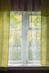 Image showing Summer greenery outside rustic window