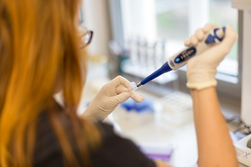 Image showing Young scientist pipetting.