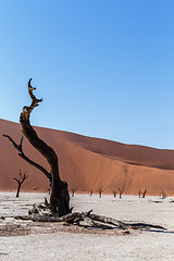 Image showing beautiful landscape of Hidden Vlei in Namib desert 