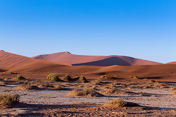 Image showing beautiful landscape of Hidden Vlei in Namib desert 