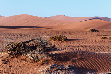 Image showing beautiful landscape of Hidden Vlei in Namib desert 