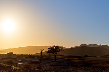 Image showing beautiful landscape of Hidden Vlei in Namib desert 