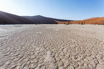 Image showing beautiful landscape of Hidden Vlei in Namib desert 